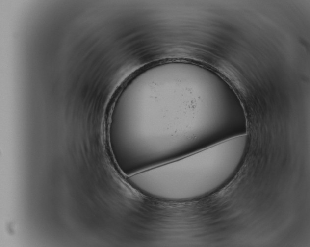 X0000093471076200710121006