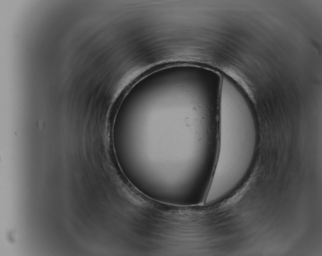X0000093471077200710121006