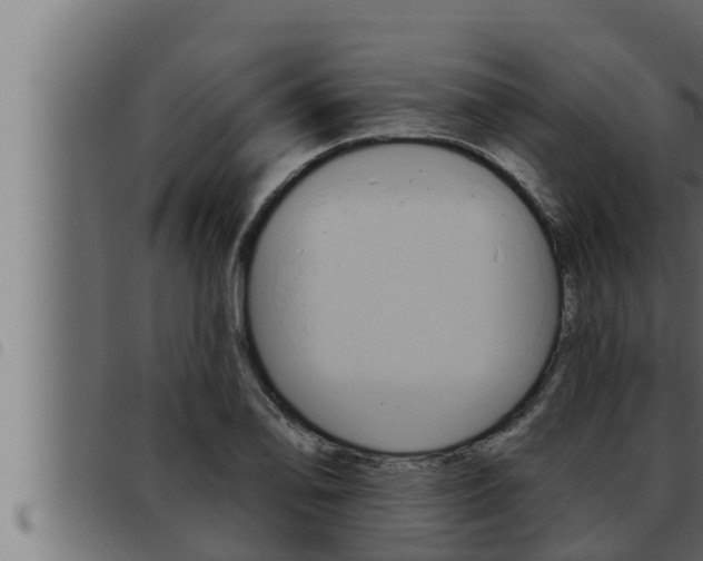 X0000093471078200710121006