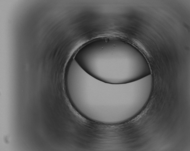 X0000093471079200710121006