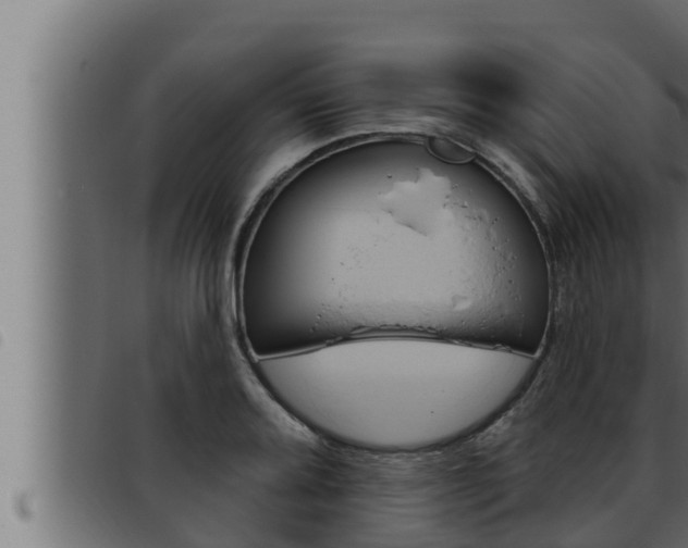 X0000093471080200710121006