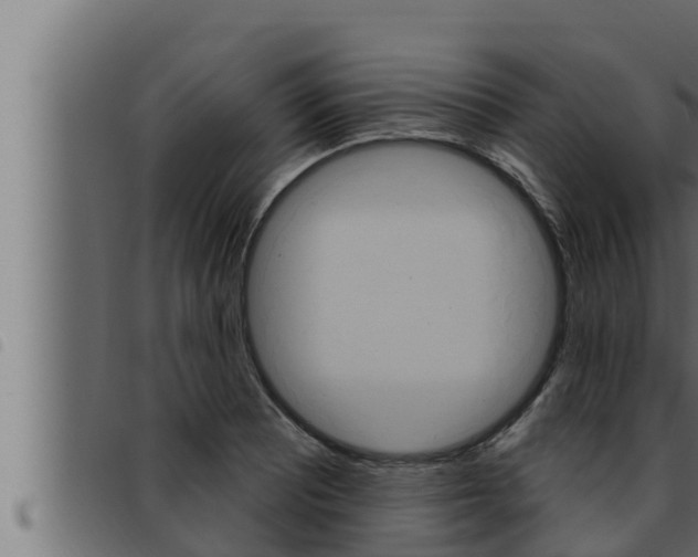 X0000093471081200710121006