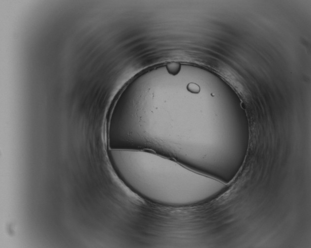 X0000093471084200710121006