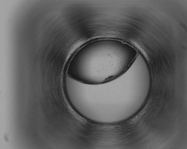 X0000093471085200710121006