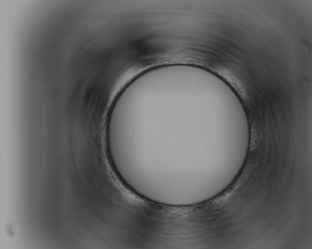 X0000093471086200710121006
