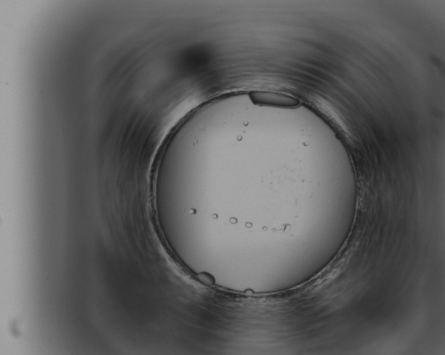 X0000093471087200710121006