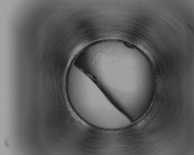 X0000093471088200710121006