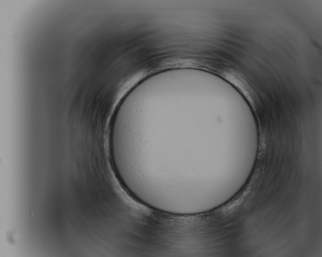 X0000093471090200710121006