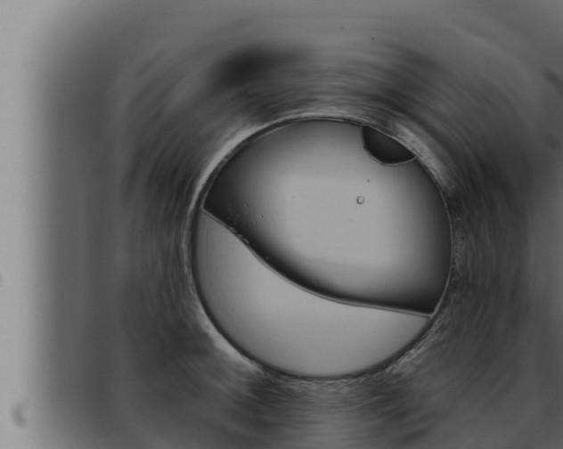 X0000093471092200710121006