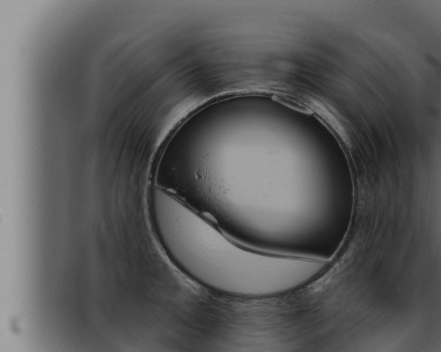 X0000093471093200710121005