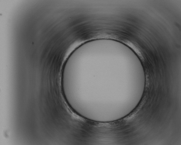 X0000093471094200710121005