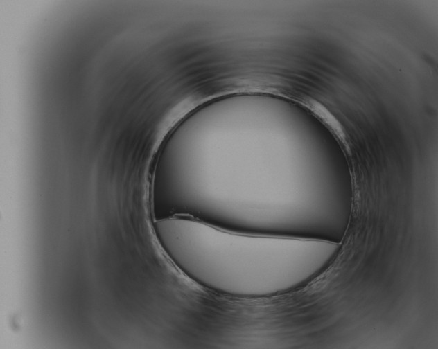 X0000093471096200710121005