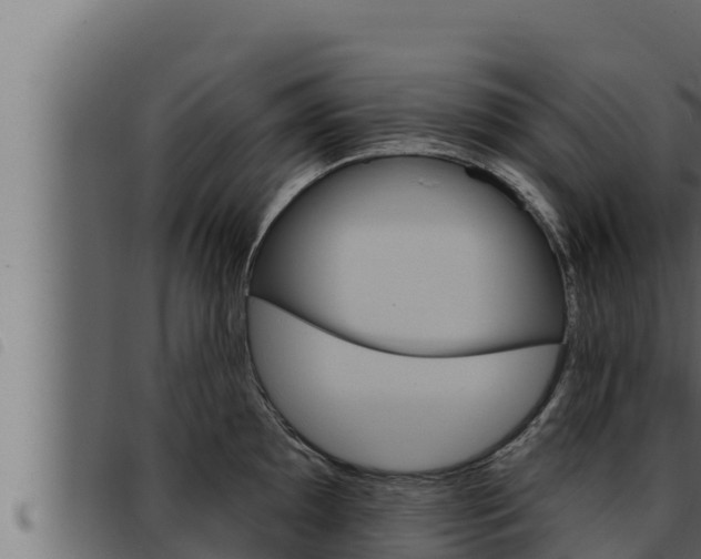 X0000093471097200710121005