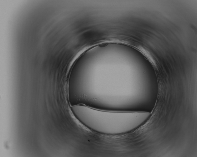 X0000093471100200710121005