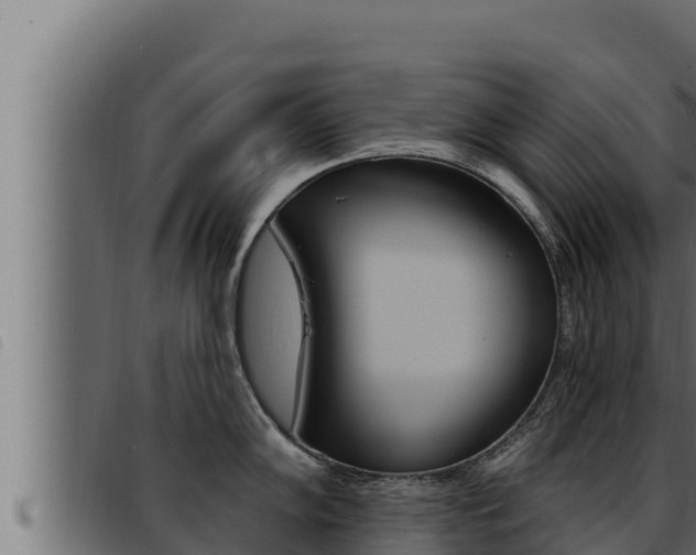 X0000093471102200710121005