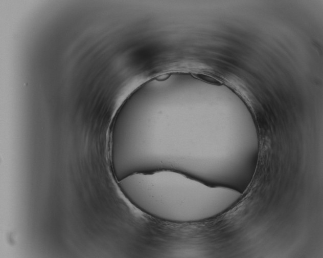 X0000093471103200710121005