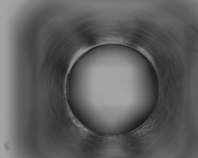 X0000093471104200710121005