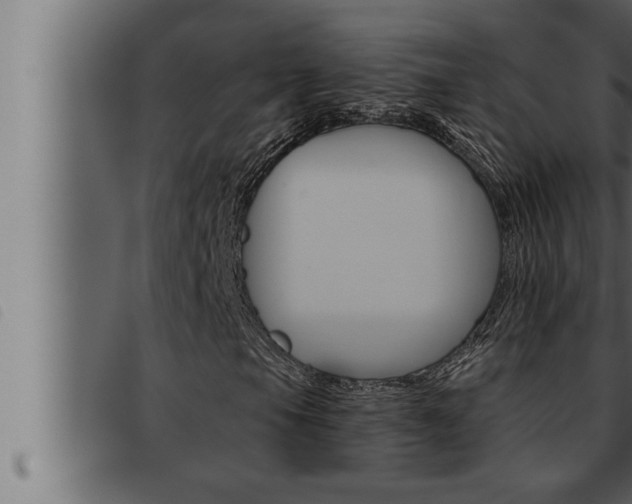 X0000093471105200710121005