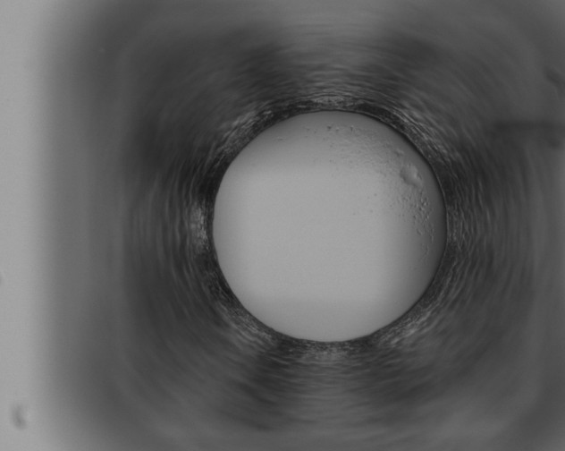 X0000093471106200710121005