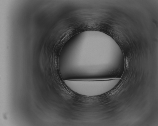 X0000093471107200710121005