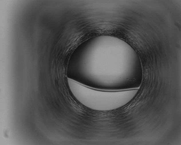 X0000093471108200710121005