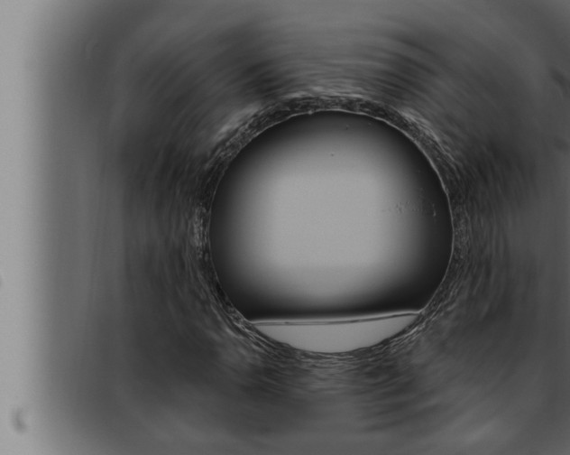X0000093471110200710121005