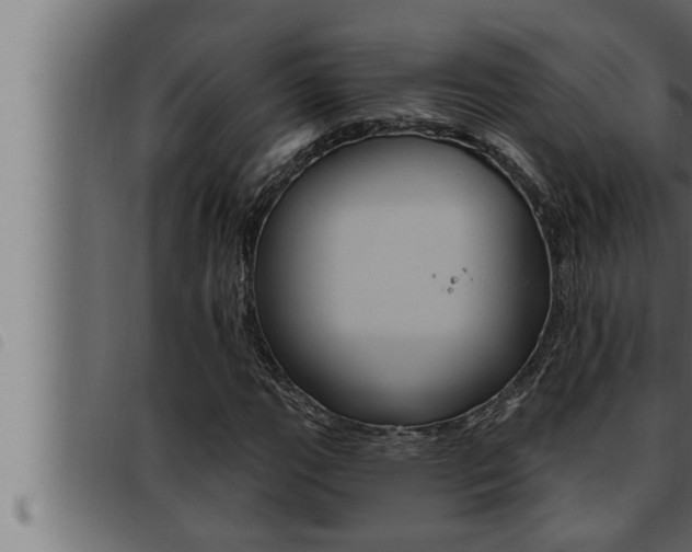 X0000093471111200710121005
