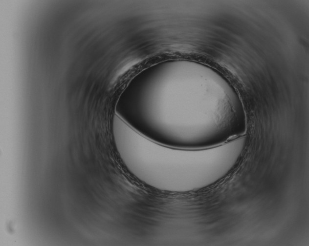 X0000093471112200710121005