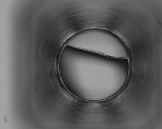 X0000093471113200710121005