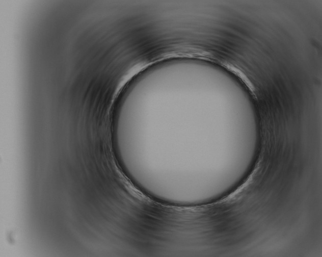 X0000093471114200710121005