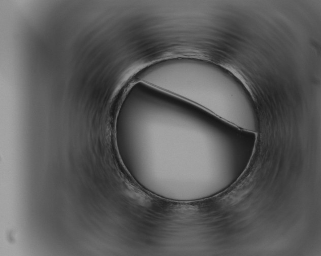 X0000093471115200710121005