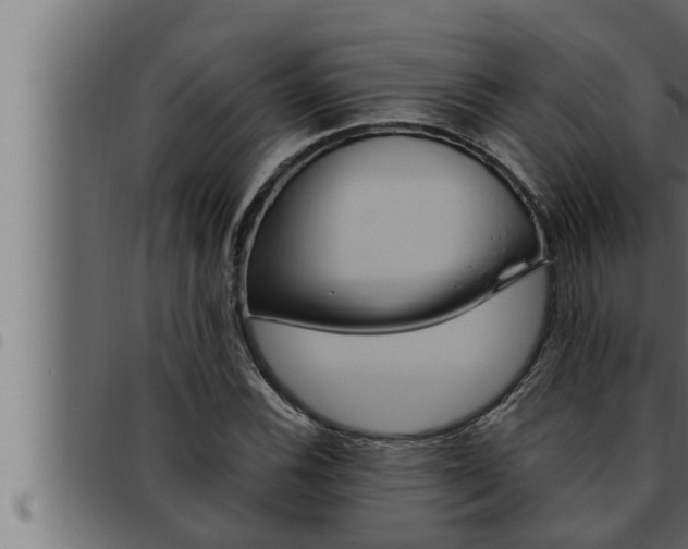 X0000093471116200710121005