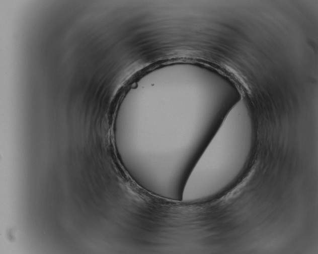 X0000093471117200710121005