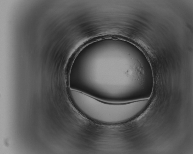 X0000093471118200710121005