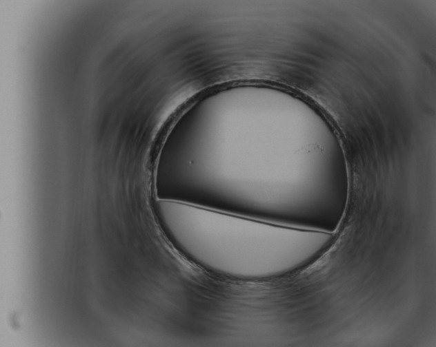 X0000093471119200710121005