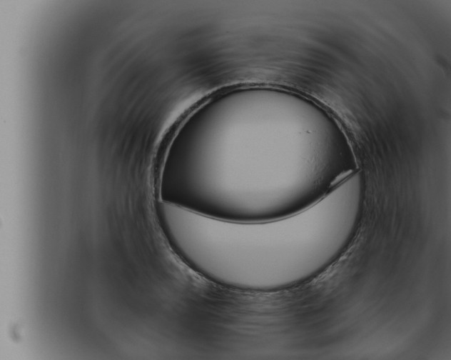 X0000093471120200710121005