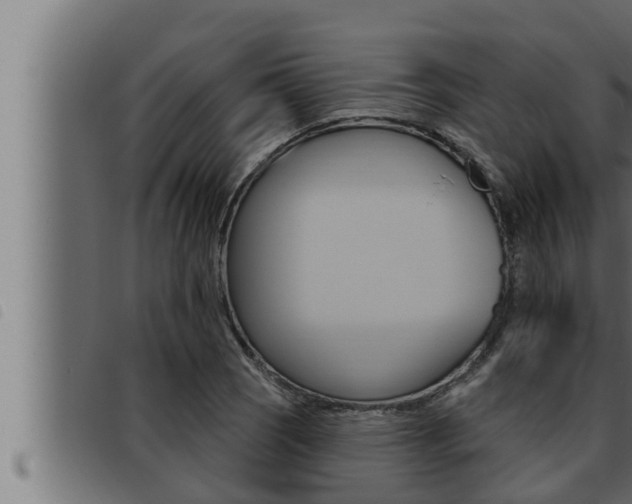 X0000093471121200710121005