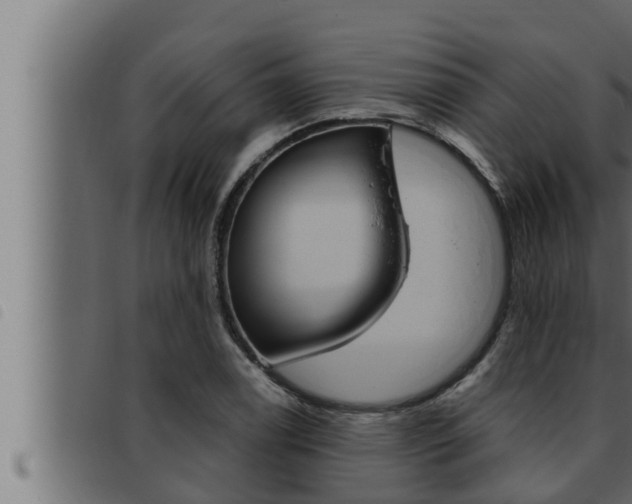 X0000093471122200710121005