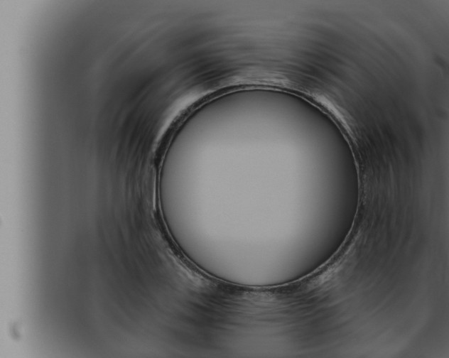 X0000093471123200710121005