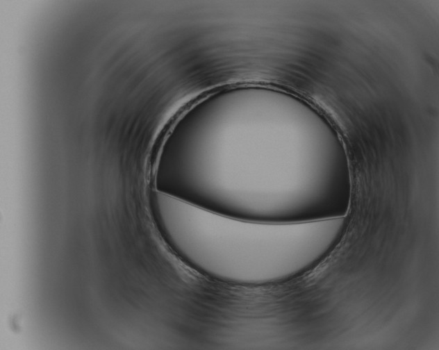 X0000093471124200710121005