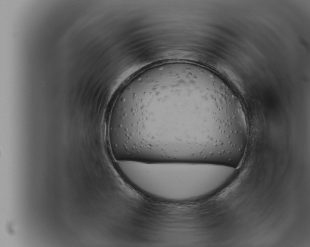 X0000093471125200710121005