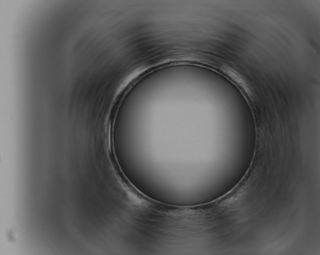X0000093471127200710121005