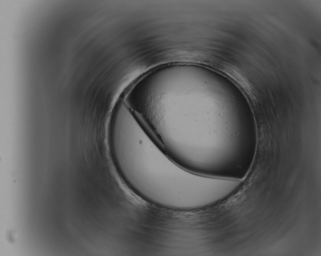 X0000093471128200710121005