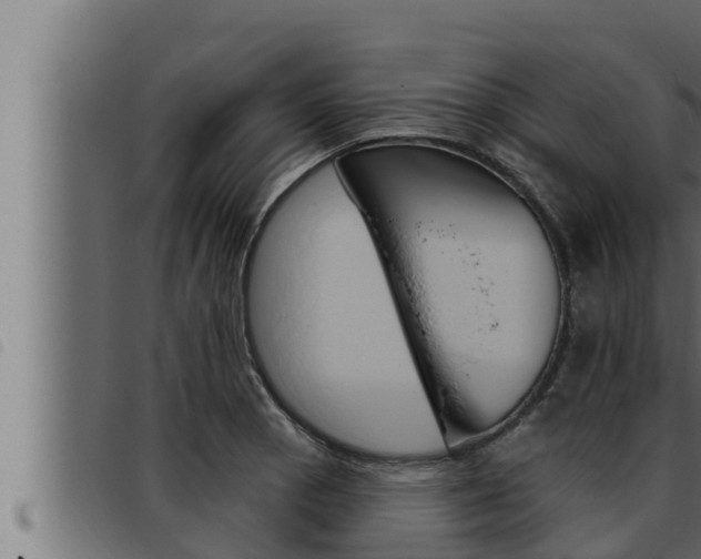 X0000093471129200710121005
