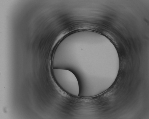X0000093471130200710121005