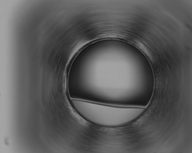 X0000093471132200710121005
