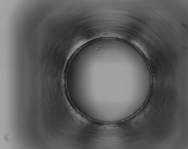 X0000093471133200710121005