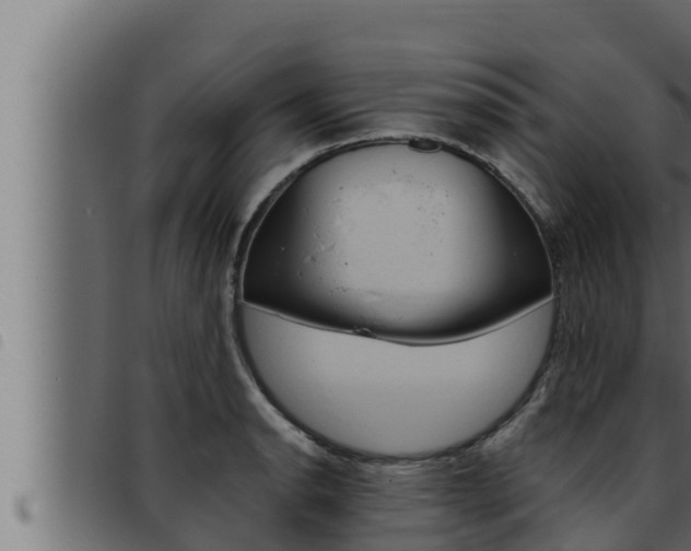X0000093471134200710121005