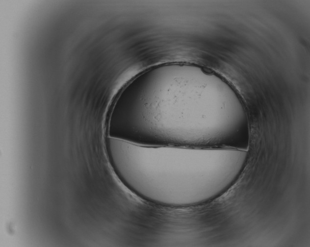 X0000093471135200710121005