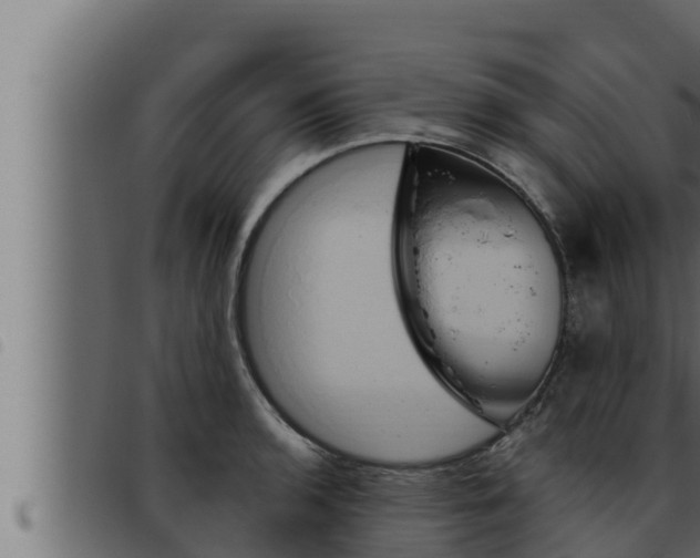 X0000093471136200710121005